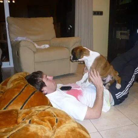 Some of Hollywood's Biggest Stars and a Few of Their Pets