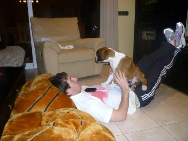 Some of Hollywood's Biggest Stars and a Few of Their Pets