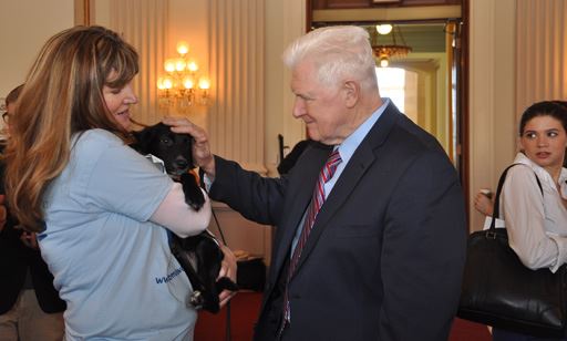 Rep. Campbell: Topics lawmakers won’t fight over — puppies and kittens
