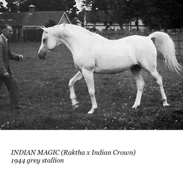 Indian Magic