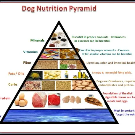 The top 10 human foods to avoid feeding pets