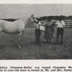 Phala