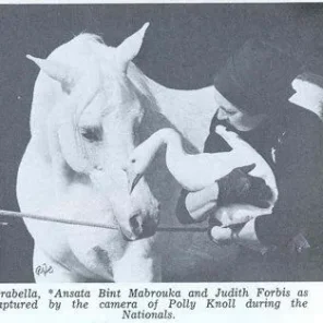 ANSATA BINT MABROUKA