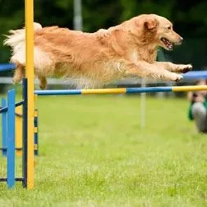 Agility Part 1