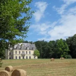 French Chateau For Sale in Ain, France