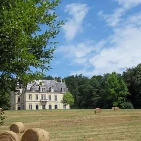 10 bedroom French Chateau in Ain, Rhone-Alpes for sale with 150000m2 of land - See other Discussion Topics on our page for additional listings - Now priced at just $1,316,700
