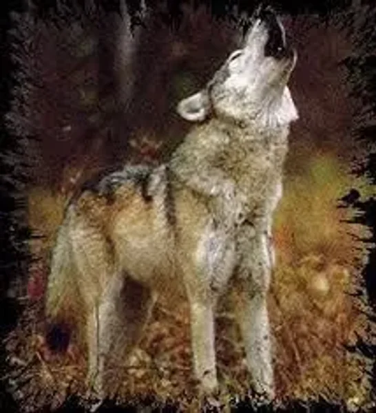 Wolf Lover