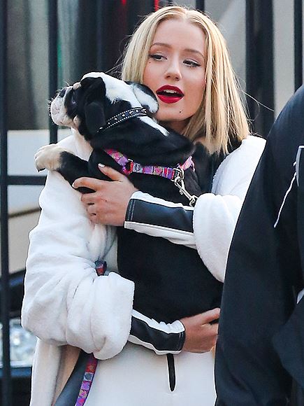 Iggy Azalea's New Puppy Has The Most Unique Name Ever