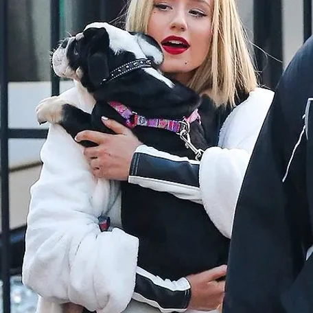 Iggy Azalea's New Puppy Has The Most Unique Name Ever