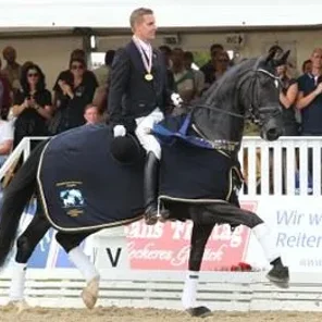 Danish Warmblood