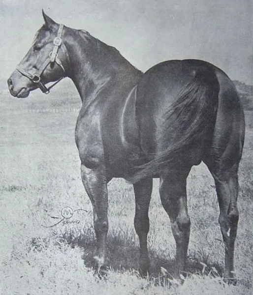 Vandy II