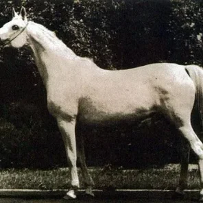 ESKAPADA
