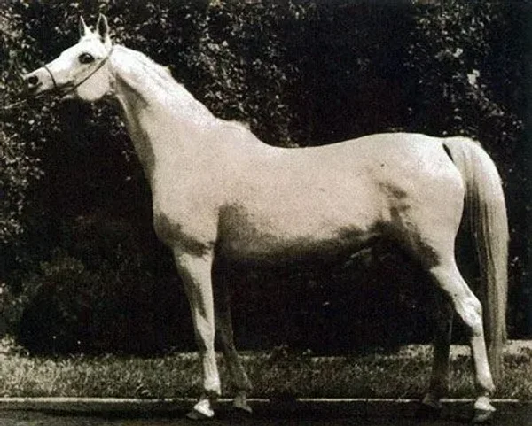 ESKAPADA