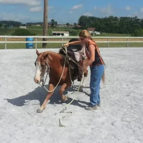 Scott Purdum Horsemanship