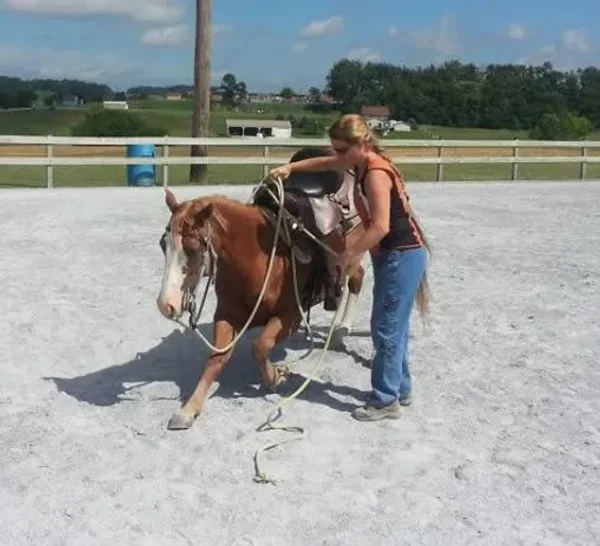 Scott Purdum Horsemanship