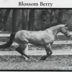 Blossom Berry