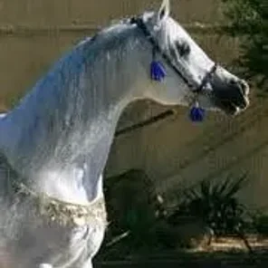 Vanylla Ice