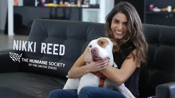 Ian Somerhalder and his girlfriend Nikki Reed have expanded their family yet again with another pet according to an Instagram picture Ian posted on Sunday afternoon (November 2).