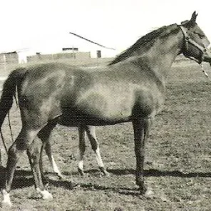 Karelia