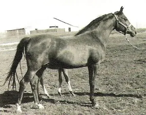 Karelia