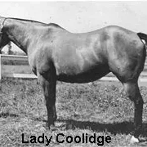 Lady Coolidge