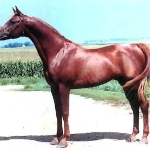 SRP Zakhar