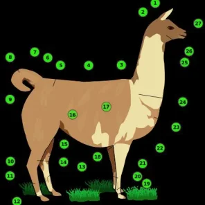 Some Basic Llama Facts