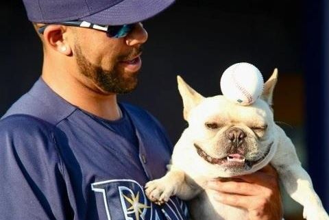 Some of the Most Inspiring Pets in Sports