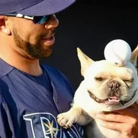 Some of the Most Inspiring Pets in Sports