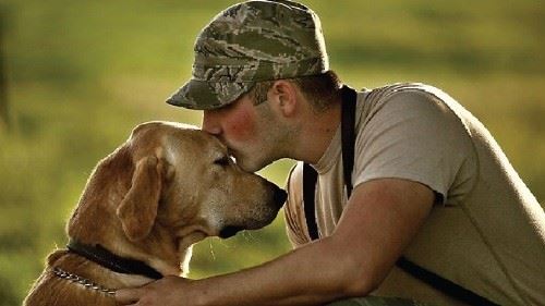 Pets for Vets