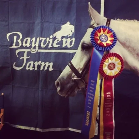 Congratulations Luxemere Patrician & his owner Kimberly Graves Champion in Arabian SHUS open and Reserve in ATR.