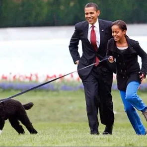 WHITE HOUSE PETS (1953-PRESENT)