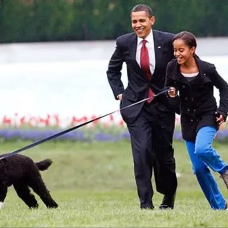 Our U.S. Presidents and some their Pets
