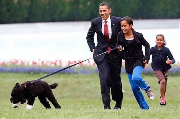 Our U.S. Presidents and some their Pets