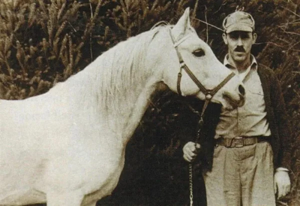 Gainey did not just sit back and admire his gift. Instead he set out to learn as much about the breed as possible. Inevitably this brought him to fellow breeders such as A.W. Harris, Jimmie Dean and Roger Selby.