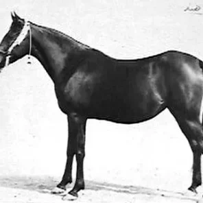 HIND