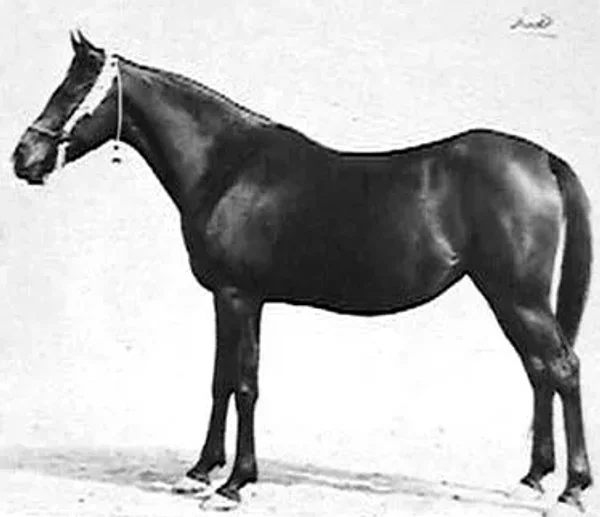 HIND