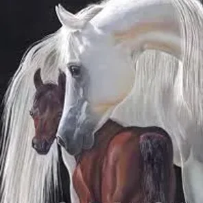 2019 Luxemere foal 5, Acevedo & Roberson