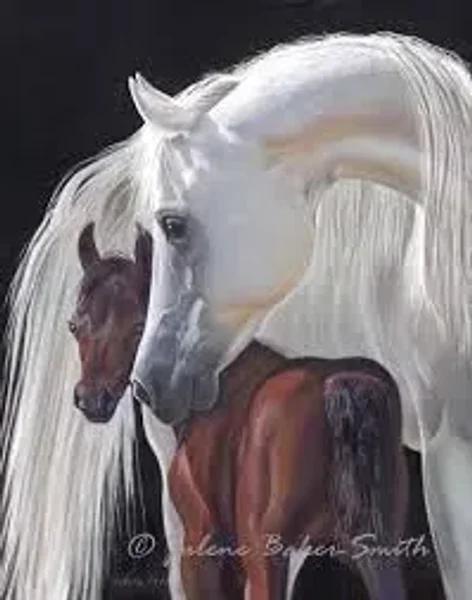 2019 Luxemere foal 5, Acevedo & Roberson
