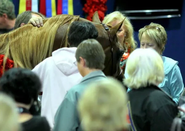 The very beautiful National Champion...Trussardi!