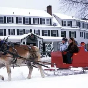 Sleighs in Winter