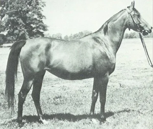 Algonkina