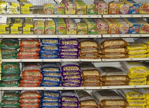 The Best Pet Bird Food