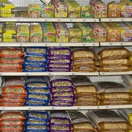 The Best Pet Bird Food