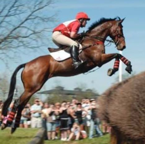 Georgetown, KY: Gateway to Kentucky Horse Park