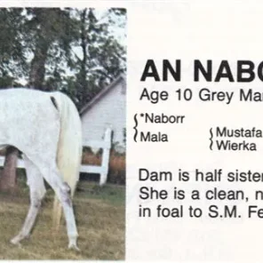AN-NABORRA