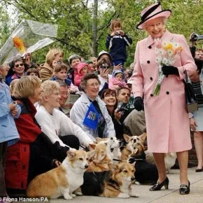 The Englilsh Royals and a Few of their Pets!