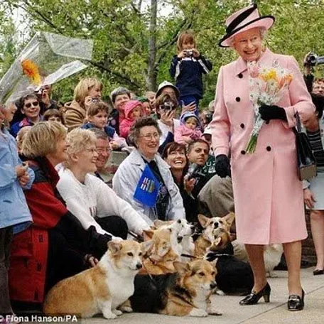 Royal, England, Elizabeth, King Charles the second, Price Robert, Prince William, Catherine (Kate) Middleton