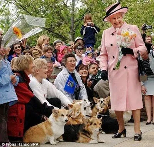Royal, England, Elizabeth, King Charles the second, Price Robert, Prince William, Catherine (Kate) Middleton