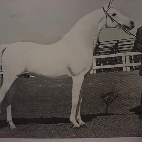Scottsdale Show at McCormick Ranch - Talal and Don DeLongpre'.